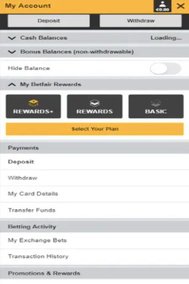 How to withdraw winnings from your Betfair account 4 tabella-1